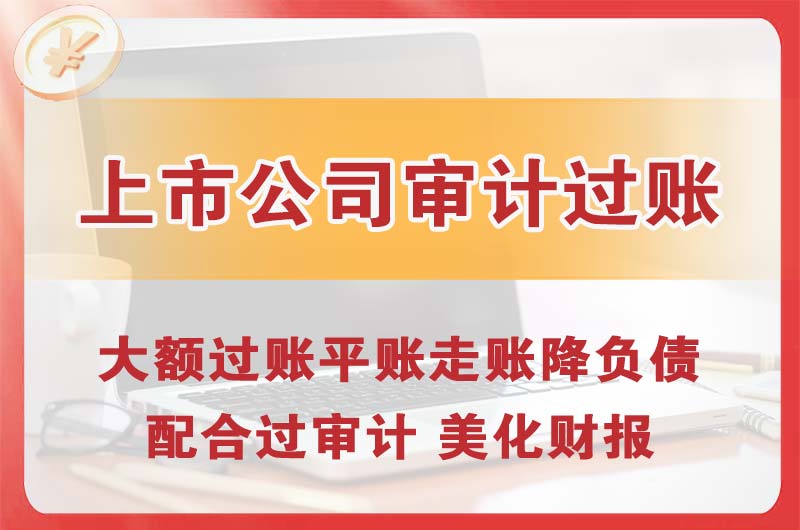 邵武上市公司审计过账